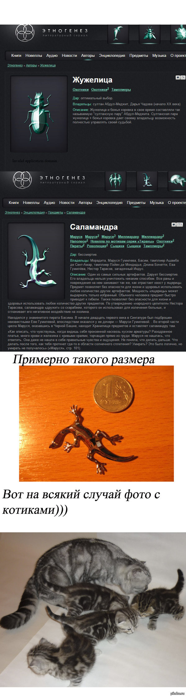 Ищу ювелира который сможет сделать (отлить из серебра) жужелицу  Прошу не топить в минусах, комент для минусов внутри.