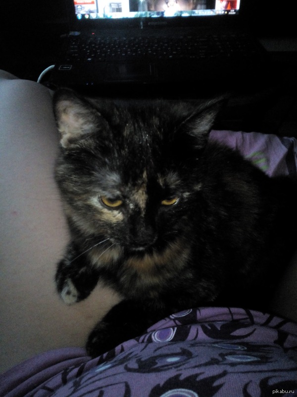 �������� �����! ������� �������! �����, ��.������.