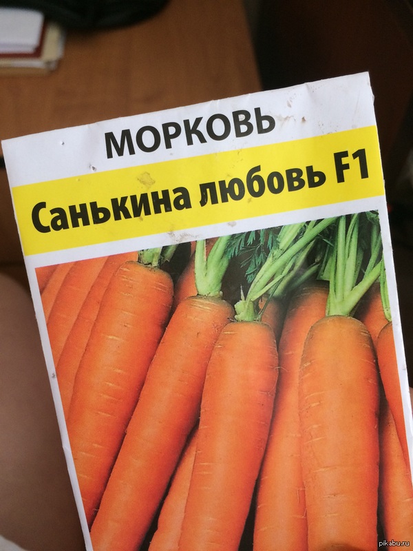 �������� ������