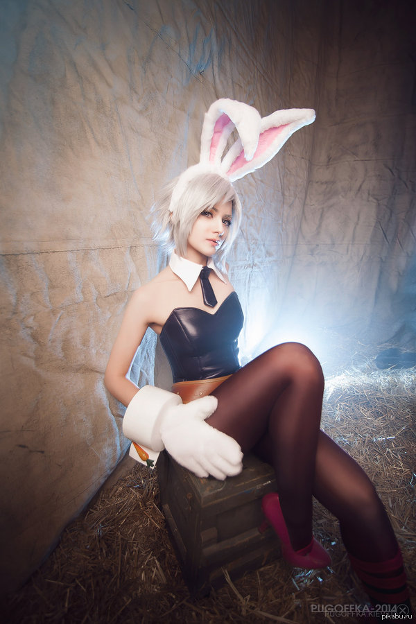 Bunny 