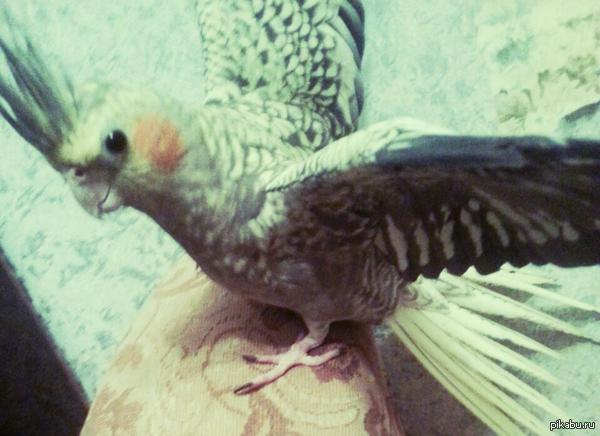 ��� ������ ������ :)