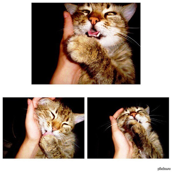 Когда вышел в отпуск