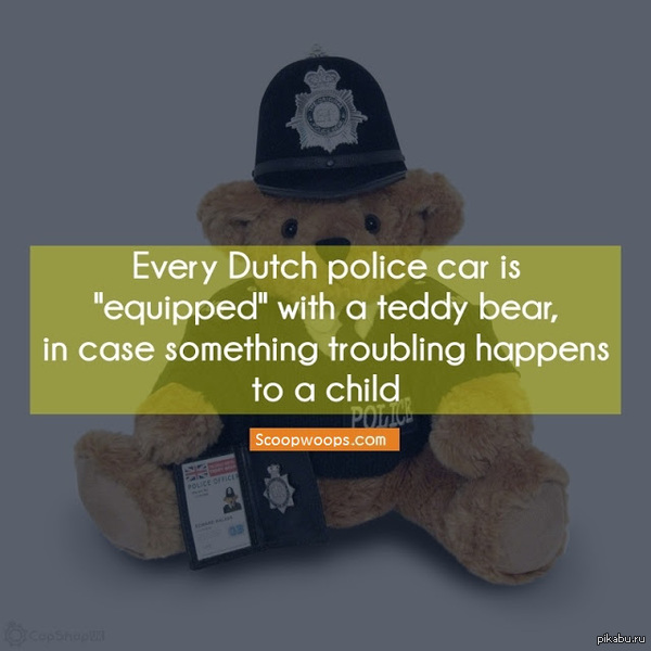 Плюшевый мишка в каждой полицейской машине