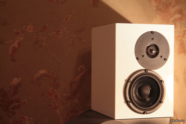 ���� ���������! ���� �����? ����������!