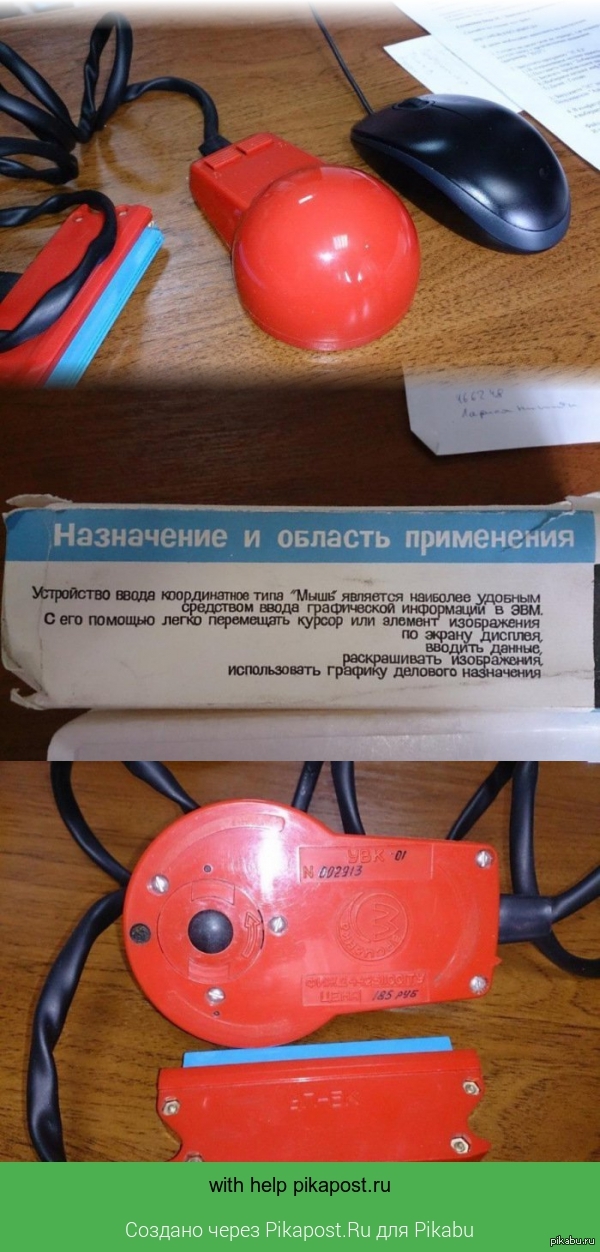Компьютерная мышь (дедушка) | Пикабу