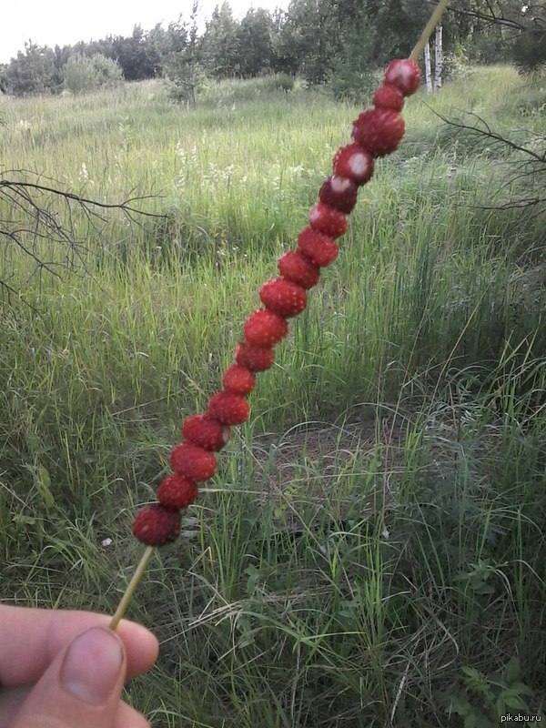 ��� ����� �� �������!