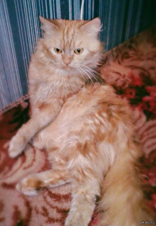 Настало время ох*ительных историй