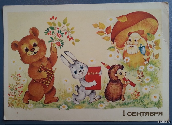 Немного советских грибных чувств