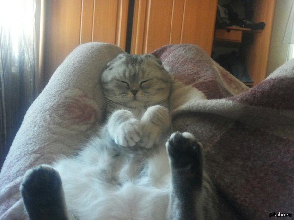 Спать где угодно и как угодно )