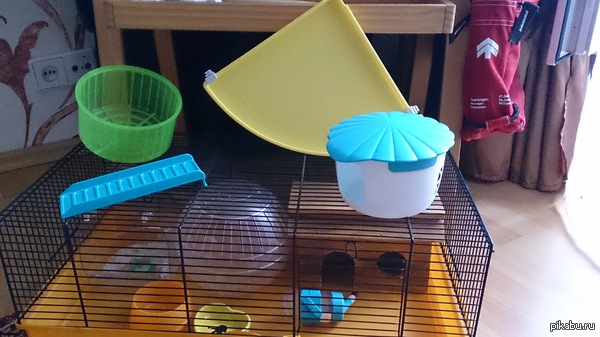 ������ ������ ��� �������� � ������ ����� � ��� :3 ��� �/�, �� � ������� ���������. ��������, ����������, �������� �� ������� ^_^