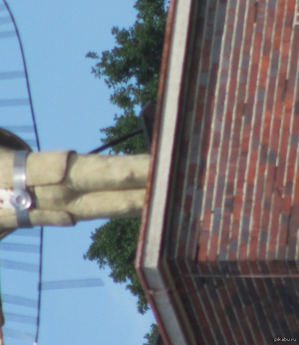 ��� �� ���� ������