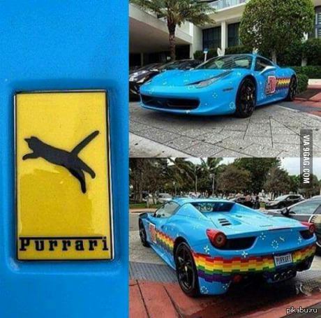 Purrari - 9GAG, Машина, Nyan Cat, Ferrari, Тюнинг