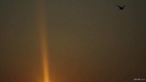 ������ ����������