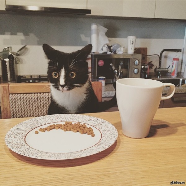 ���� ����, ����� ���� �������, ��� ������ ������� ����� 2 ���