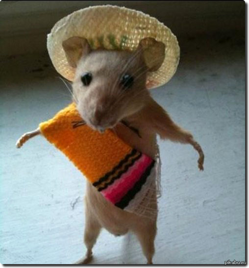 ������������ ������� ;)