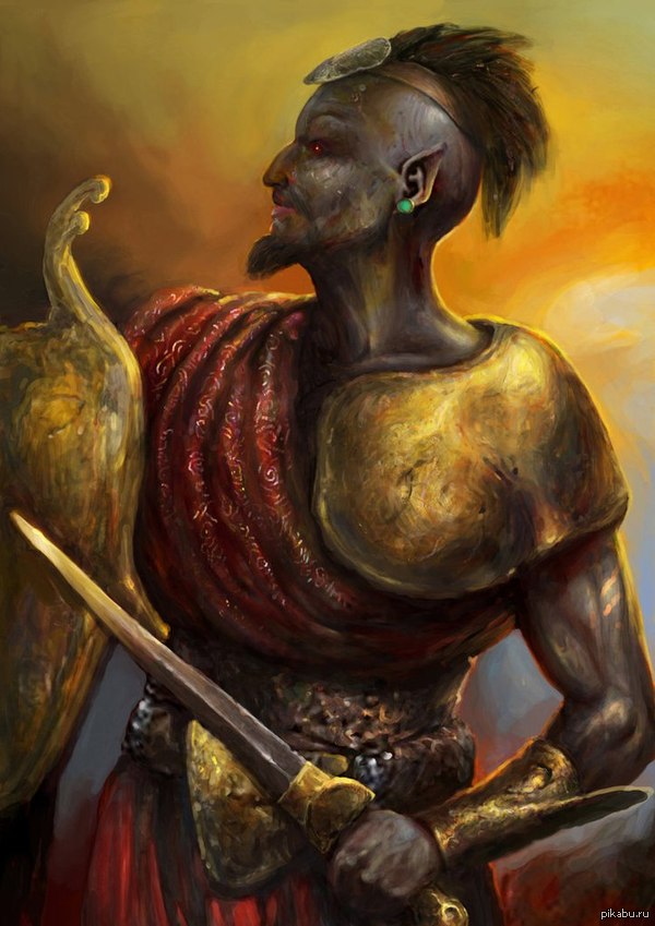 ���������� �������� ���