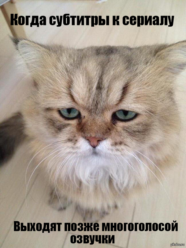 В последнее время так и хочется заговорить: а вот в наше время...