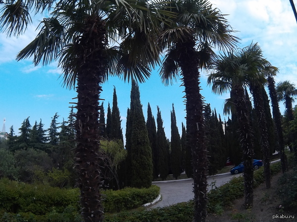 �������� ������