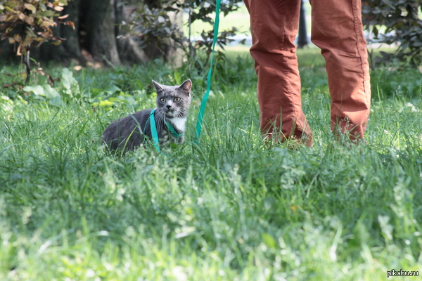 ��� �����