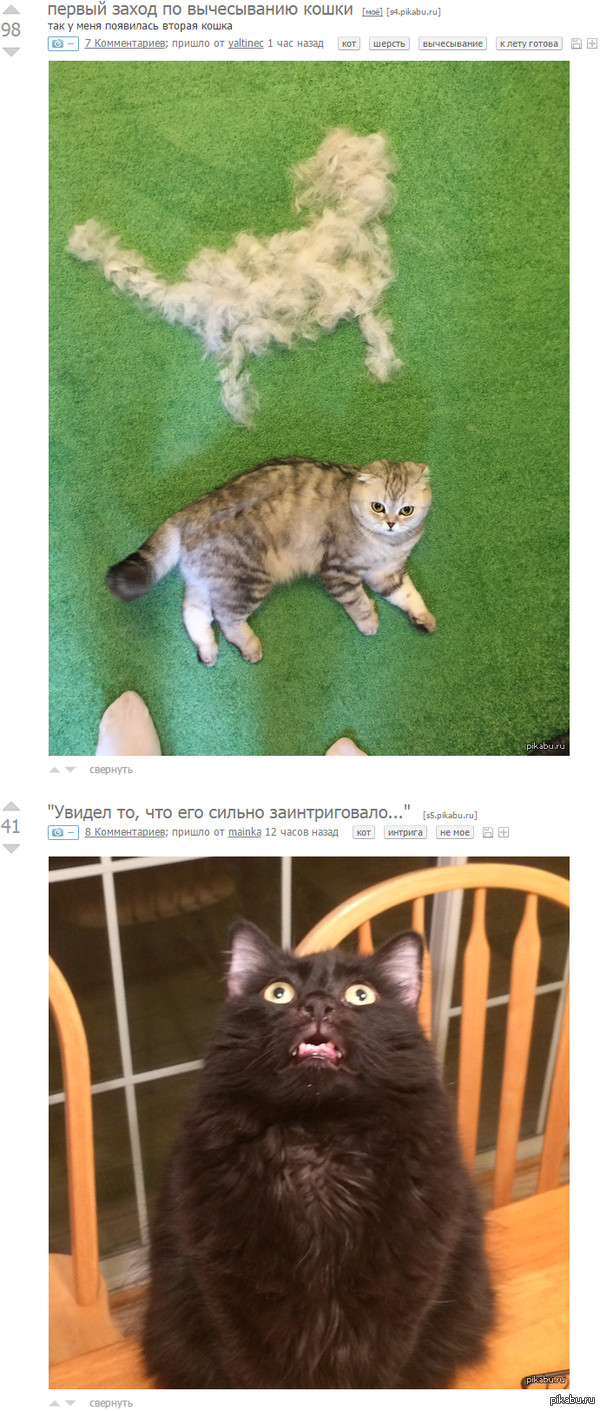 ���������� ����������