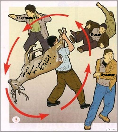 Как дерутся олени