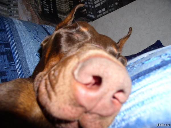 Проснулся от тёплого бриза в лицо.