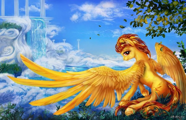 Spitfire's wings 