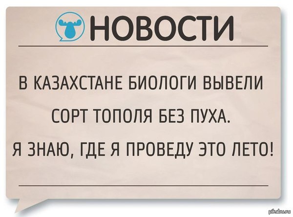 Я знаю где проведу это лето | Пикабу