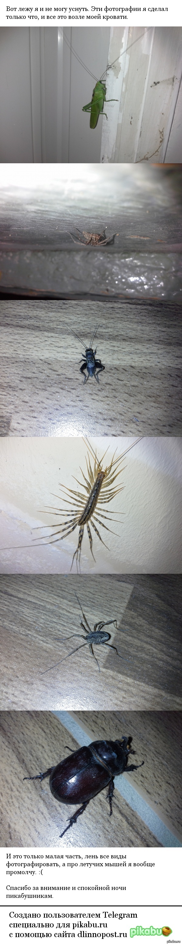 ��� � ������� ������