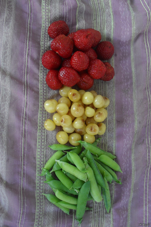 ������ "��������"!