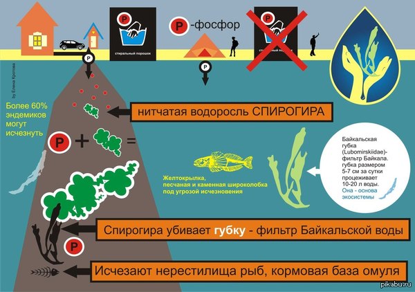 ��������������, ����������, ��� ������������ � ������ ������ �����.