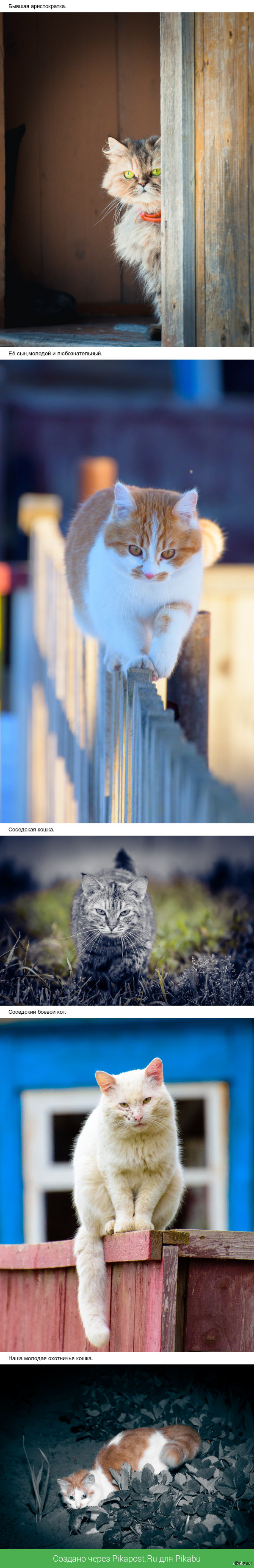 ���� ����������� �����.