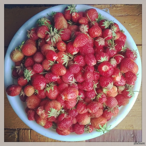 6kg ���������� ��������