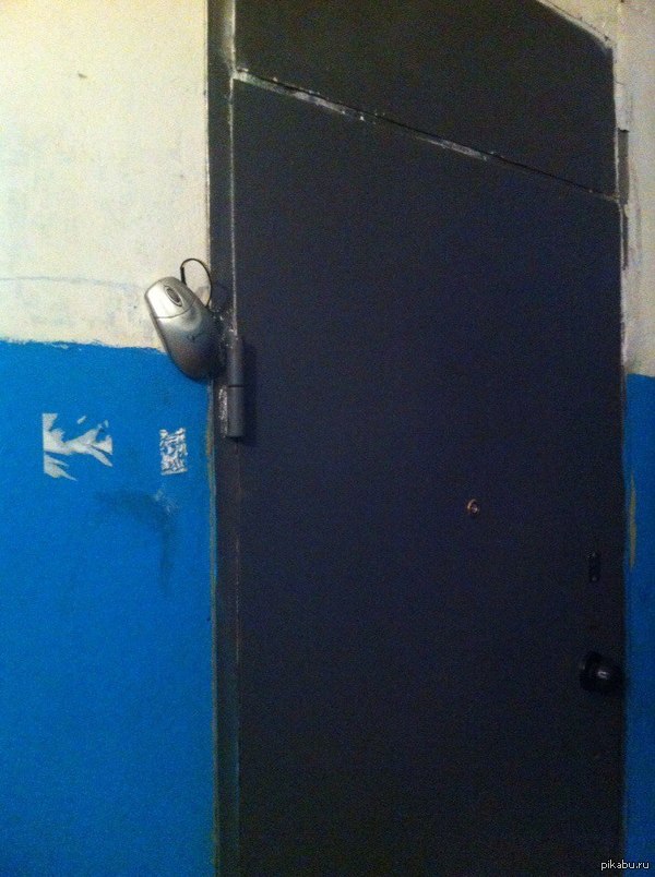 � � ���� �������.