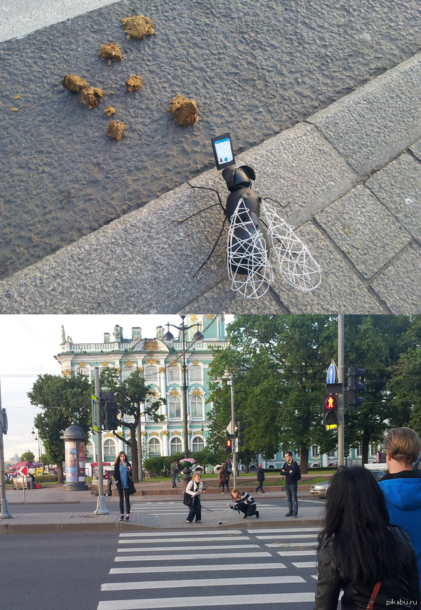   Instagram    ,      Instagram.