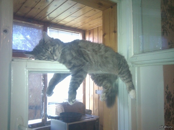 ������ ��� ��� ����� ��������