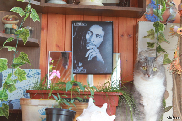 ��� ��������� �����.