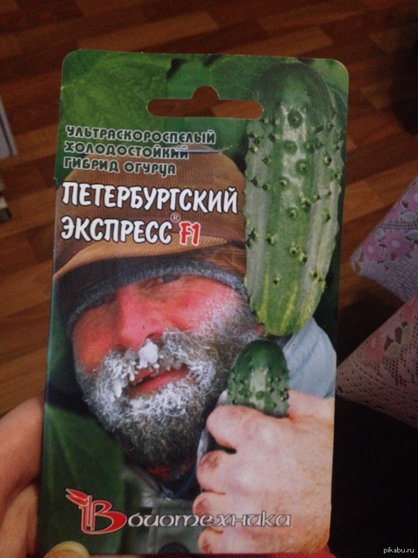 ���� �� ���� ��� ����� ��� ��������