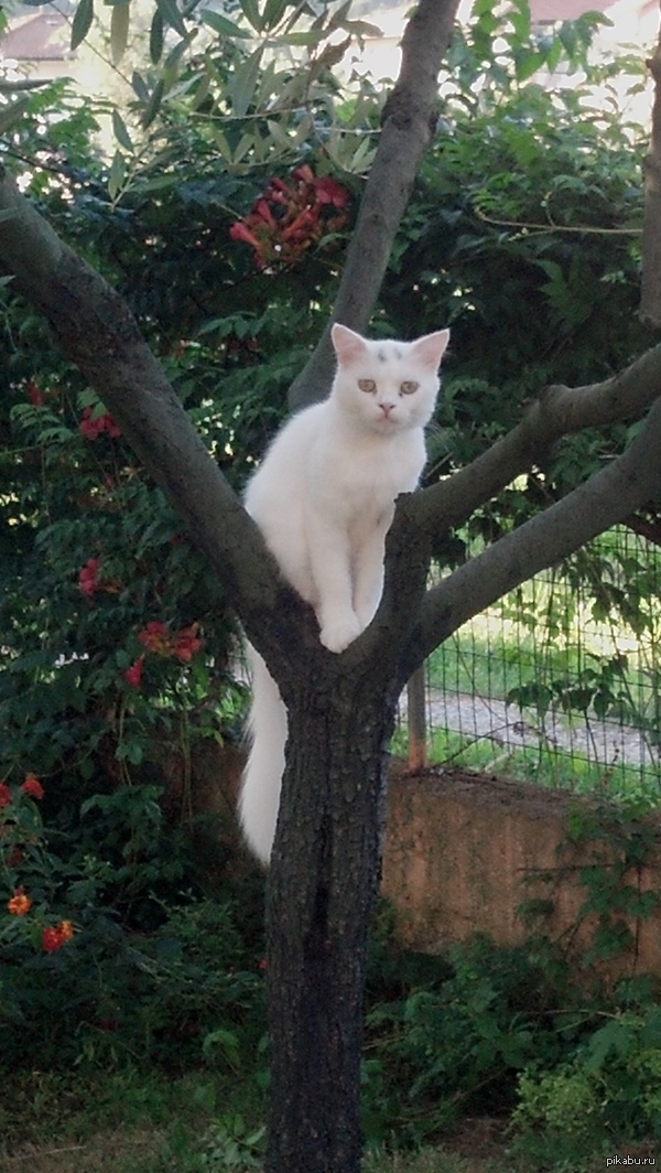 �������-�����