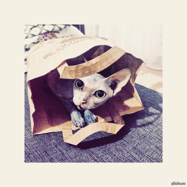    ˸:)