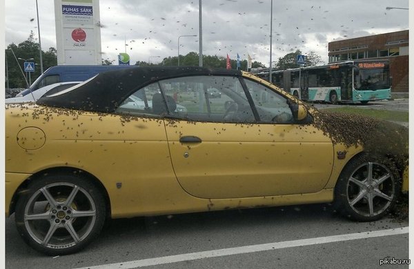 ��� ���� ������� ������