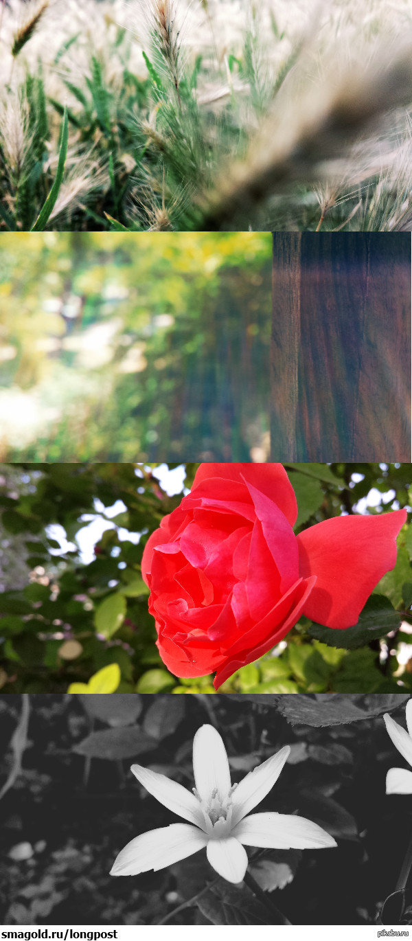 Сделал немного фотографий