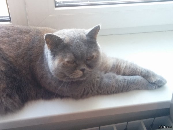 &quot;      ,     &quot;