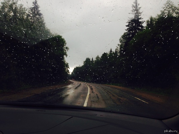 Road from the cottage... - My, Gabovskoye, Forest, Rain, Road, Evening