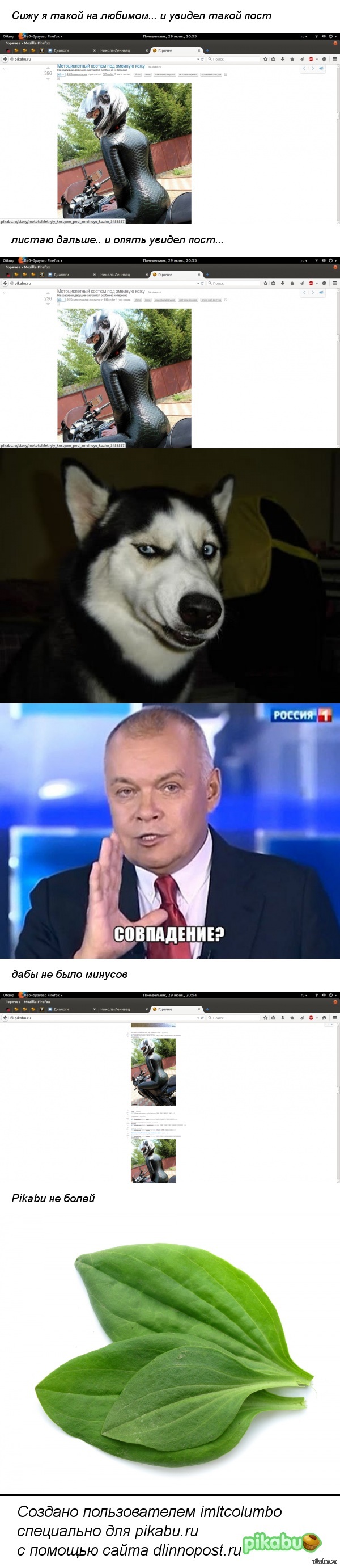 Глюк на Pikabu