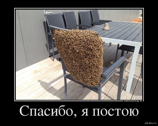 ������� ����