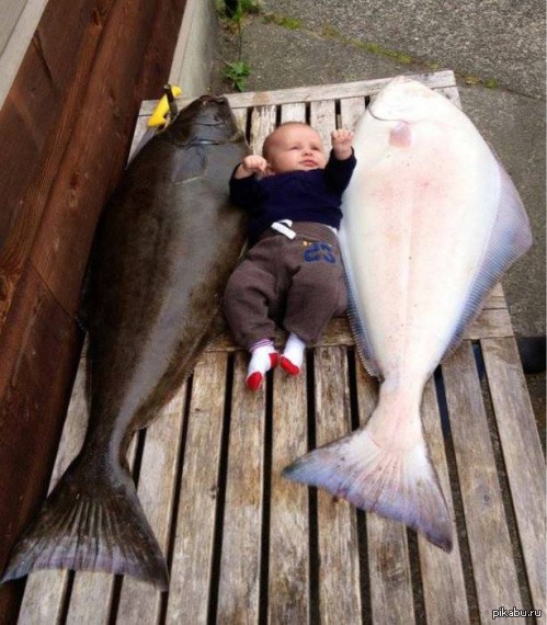 ���� ����� )