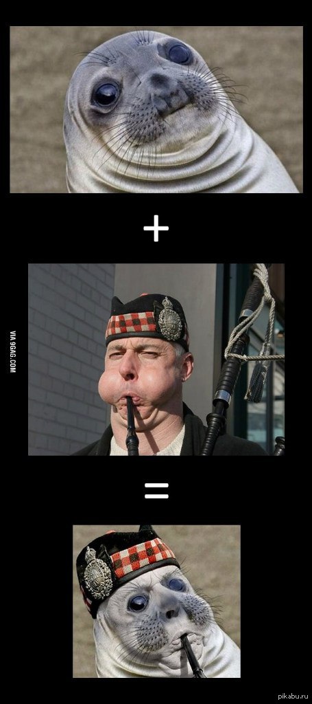 Идеальное сочетание