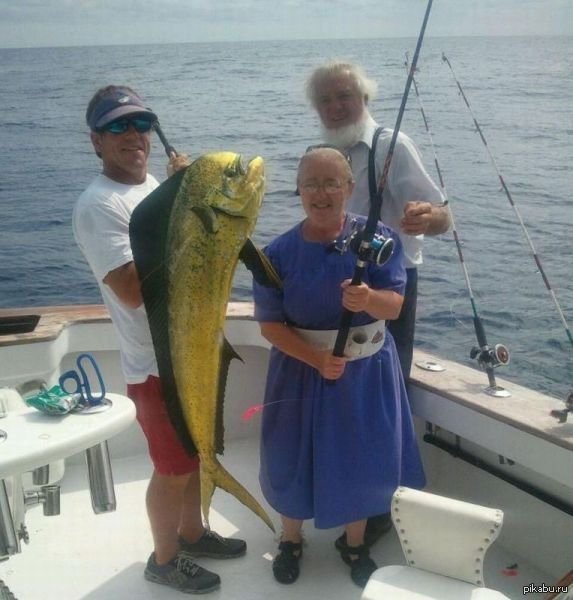   :  -, !  ,     ,   :  ,  ,  ! .