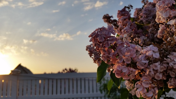 �������� �������� ���� :)